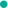 厦门去年新增1.2万A级纳税人